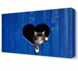 Kalpten Çıkan Kedi Canvas Tablo (1)