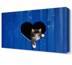 Kalpten Çıkan Kedi Canvas Tablo