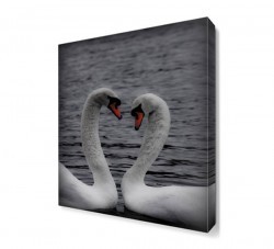 Kuğu Canvas Tablo (1)