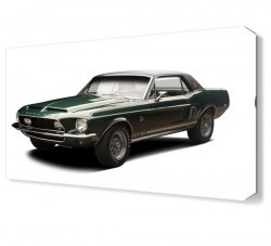 Green Hornet Canvas Tablo (1)