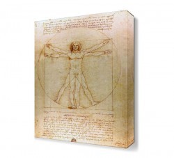 Leonardo da vinci Vitruve Luc Viatour Tablo (1)