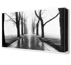 Bilinmez Tablo Canvas Tablo