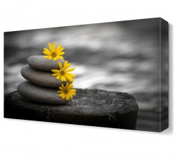 Taşlar Çiçek Canvas Tablo
