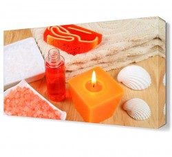 Deniz Kabuğu Canvas Tablo