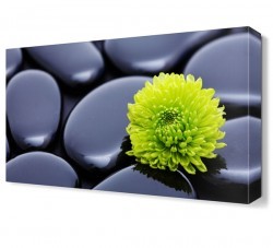 Masaj Taşları2 Canvas Tablo (1)