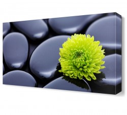 Masaj Taşları2 Canvas Tablo