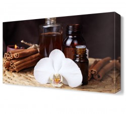 Tarçın Canvas Tablo