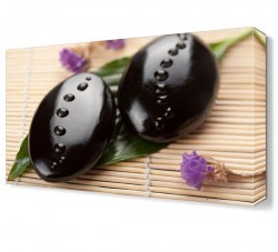 İki Taş Canvas Tablo (1)