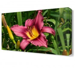 Sarı Özlü Çiçek Canvas Tablo (1)