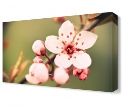 Daldaki Çiçek Canvas Tablo (1)