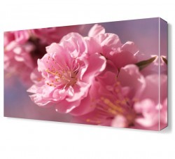 Pembe Çiçekler2 Tablosu (1)