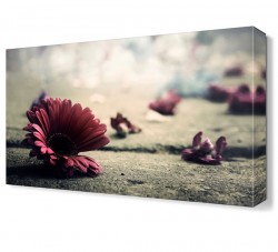 Yerdeki Çiçekler Tablosu