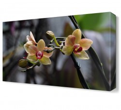 Küçük Güzel Çiçek Tablosu (1)