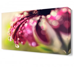 Çiçek ve Su Tablosu