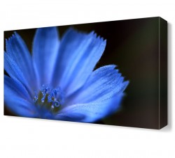 Mavi Çiçek Tablosu