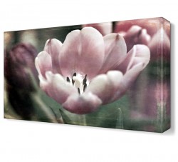 Nostalji Çiçek Tablosu