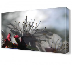 Çiçek Sapları Tablosu