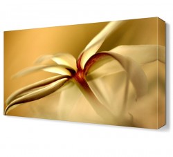 Beyaz Çiçek2 Tablosu