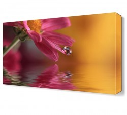 Suya Düşen Çiçek Tablosu (1)