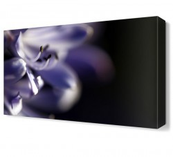 Mor Çiçek2 Tablosu (1)