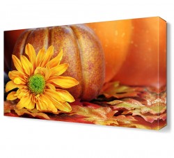 Kabak Çiçeği Tablosu