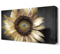 Beyaz Ay Çiçeği Tablosu (1)