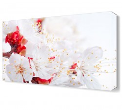 Sevimli Çiçek Tablosu