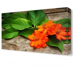 Turuncu Çiçekler Tablosu