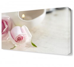 Toz Pembe Gül Tablosu