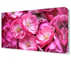 Pembe Çiçek Tablosu (1)