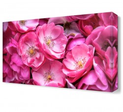 Pembe Çiçek Tablosu