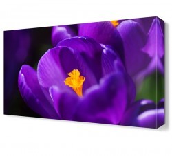 Mor Çiçek4 Tablosu (1)