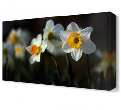 Güneşe Dönmüş Çiçekler Tablosu (1)