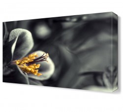 Siyah Beyaz Çiçek Tablosu