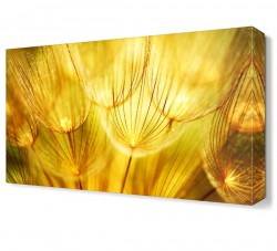 Sarı Çiçek3 Tablosu