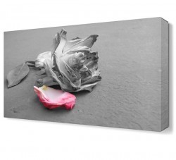 Son Gül Yaprağı Tablosu (1)