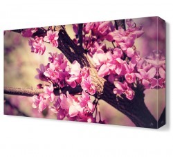 Ağaç Çiçeği Tablosu (1)