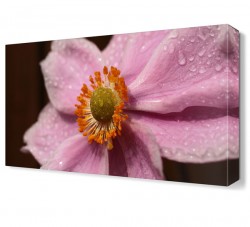 Sarı Çiçekler2 Tablosu