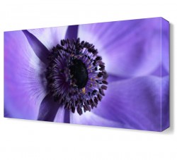 Mor Çiçek8 Tablosu