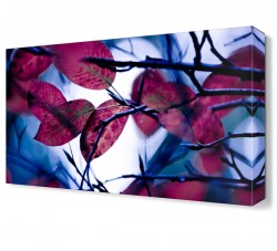 Pembe Yapraklar Tablosu