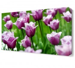 Çiçek Bahçesi Tablosu (1)