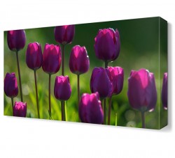 Mor Çiçek Bahçesi Tablosu