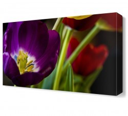 Kırmızı Pembe Çiçek Tablosu (1)