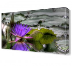 Su Çiçeği2 Tablosu