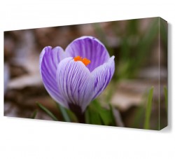 Mor Çiçekler Tablosu