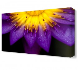 Güneş Çiçeği Tablosu