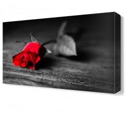 Yanlız Gül Tablosu