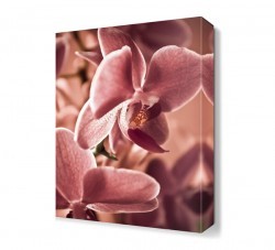 Çiçek Yaprakları Tablosu (1)