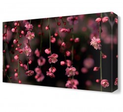 Çiçekler Tablosu (1)