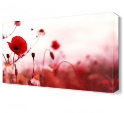 Laleler ve Papatyalar Tablosu